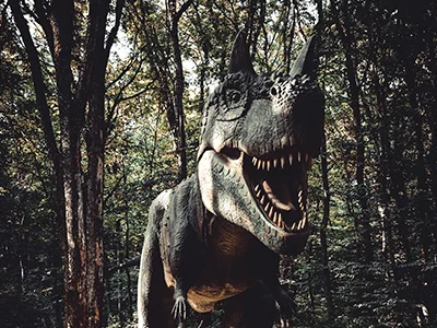 Zdjęcie twarzy dinozaura, który znajduje się w parku dinozaurów w łebie